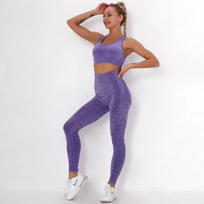 Seamless Yoga Fitness Set with Sports Bra