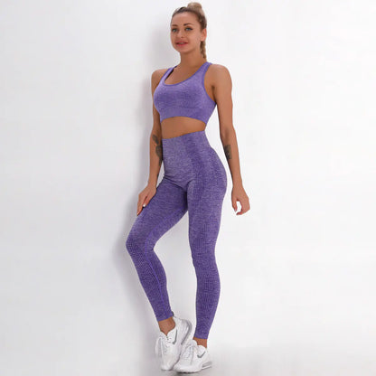 Seamless Yoga Fitness Set with Sports Bra