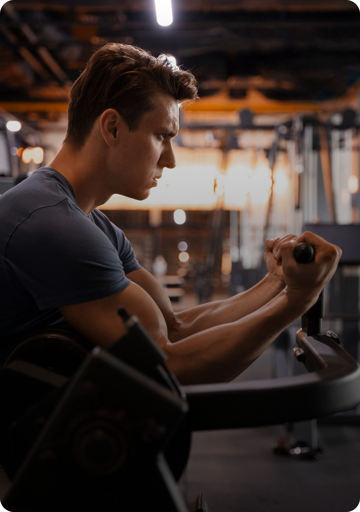 Gym Equipment